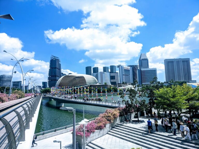 Purposeful endangerment using a vehicle in Singapore