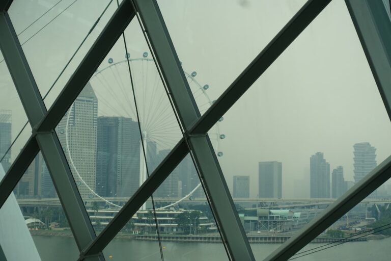 MTO, DRO and SDO in Singapore