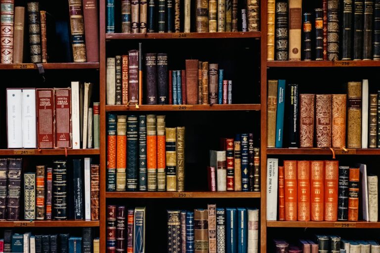 Shelves of legal books — Singapore criminal defence overview