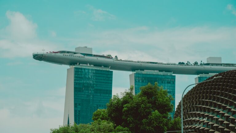 Search of persons, premises and digital devices in Singapore
