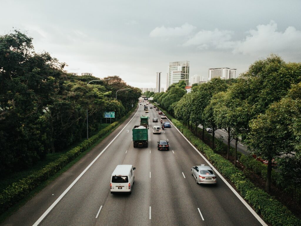 Weapons and dangerous instruments in Singapore