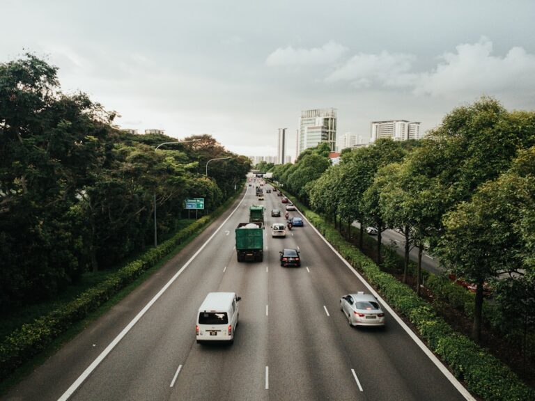 Weapons and dangerous instruments in Singapore