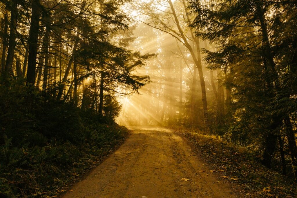 A path at sunrise — resolution and aftercare after a criminal case